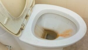 Urinesteen en kalk verwijderen toilet