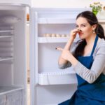 Lees meer over het artikel Nare geur in koelkast