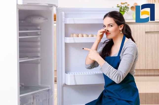 Lees meer over het artikel Nare geur in koelkast