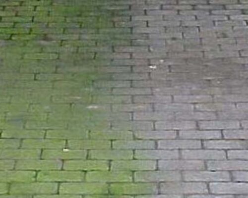 Het Ga wandelen eindpunt Groene aanslag terras tegels verwijderen - Schoonmaken